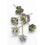 Succulente artificiali JADON, su stelo, 6 pezzi, verde-rosso, 13cm, Ø5cm