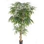 Bambù artificiale pancia di Buddha AIKALA, tronco reale, 180cm