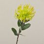Protea artificiale BAILY, giallo, 50cm, Ø12cm