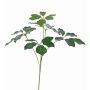 Ramo di schefflera artificiale CAPONE, zona trasversale, verde, 50cm