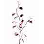 Ramo di lunaria artificiale SALEM, rosso-argento, 90cm