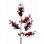 Ramo di agrifoglio artificiale PASCHA con frutti, argento-rosso, 50cm