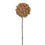 Ramo artificiale di anice stellato CATBERT, marrone chiaro, 70cm, Ø10cm