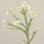 Fiore di cera artificiale AISHA, crema-bianco, 65cm