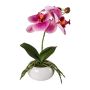 Fiore artificiale orchidea Phalaenopsis KASDA, vaso in ceramica, radici, rosa, 27 cm