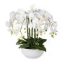 Fiore artificiale Phalaenopsis orchidea KASDA, vaso in ceramica, radici, bianco, 55 cm