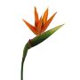 Fiore decorativo Strelitzia BARABE, arancione-viola, 100 cm