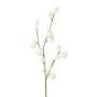 Ramo artificiale di euforbia BRAVON, con frutti, bianco, 80 cm