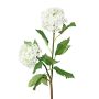Ramo decorativo di viburno SNALMO, bianco, 50 cm