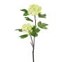 Ramo decorativo di viburno SNALMO, verde chiaro, 50 cm