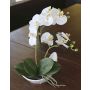 Orchidea phalaenopsis decorativa ZARMINAH in ciotola di ceramica, bianco, 35cm