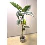 Colocasia artificiale YORICK, verde, 180 cm