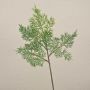 Ramo di cedro decorativo BALTHILDE, verde, 40 cm