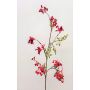 Ramo di bacche di sambuco artificiali THEYGE con frutti, rosso, 75 cm