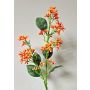 Ramo di palla di neve artificiale LABIBA con boccioli, arancione, 60 cm