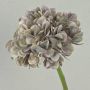 Fiore artificiale ortensia MANDISA, beige-rosa, 65 cm
