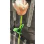 Fiore artificiale tulipano PJASSINA, albicocca-rosa, 65 cm