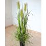 Erba della pampa artificiale decorativa TALINDA con pannocchie, verde, 150 cm