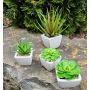 Aloe vera decorativa KATNISS, vaso in ceramica, verde, 9 cm