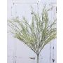 Carice artificiale RUSTY con pannocchie, verde-grigio, 45cm