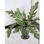 Felce del nido artificiale ADRIENNE su stelo, verde, 30cm, Ø45cm