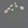 Ramo artificiale di garofano PIARA, rosa delicato, 60 cm, Ø 2-5 cm