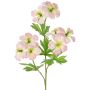 Pianta artificiale ramo di geranio ZEDENA, rosa-crema, 70 cm, Ø 6 cm
