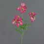 Pianta artificiale geranio ramo ZEDENA, rosa crema, 70 cm, Ø 6 cm