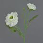 Ramo artificiale ranuncolo SAGARA, bianco-verde, 45 cm, Ø 5-8 cm