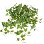 Edera artificiale BESSIE su bastone, Eco Collection, verde-bianco, 55 cm