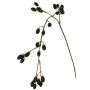 Ramo decorativo di more URUMA con frutti, nero, 100 cm