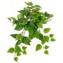 Pianta decorativa edera SHELLEY su bastone, Eco Collection, verde, 55 cm