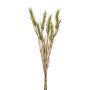 Mazzo di grano artificiale TILPA con spighe, verde, 50 cm