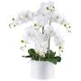 Fiore decorativo orchidea Phalaenopsis TOUNI, vaso in ceramica, radici, bianco, 60 cm