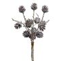 Coni di abete artificiali FALTO, marroni e bianchi, 30 cm