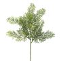 Ramo decorativo di cipresso PLIRKO, verde, 40 cm