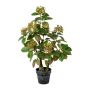 Pianta decorativa TOLHIN, tronco artificiale, vaso decorativo, verde-rosa, 60 cm