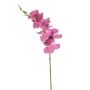 Ramo di orchidea Phalaenopsis artificiale AXELOR, rosa, 85 cm