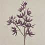 Ramo di sedum artificiale MOMOKA, viola scuro, 110cm