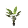 Pianta artificiale Calathea Rufibarba NUSAKAN, verde, 120 cm