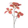 Ramo decorativo castagno GLIVER, rosso-giallo, 100 cm