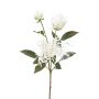 Ramo decorativo crisantemo MIRANE, bianco, 70 cm