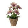 Fiore decorativo di rosa di Natale ILLUME, vaso decorativo, viola-verde, 30 cm