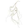 Ramo decorativo salice contorto NEMUR, marrone, 120 cm