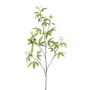 Ramo decorativo di aralia MOLFER, verde, 115 cm