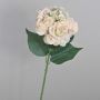 Ortensia finta ANGELINA, rosa tenue, 70cm, 23cm