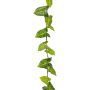 Ghirlanda artificiale Syngonium OSSIAN, verde, 185 cm