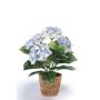 Ortensia artificiale LAIDA in vaso di terracotta, blu chiaro, 35cm