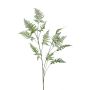 Ramo artificiale di asparagus plumosus FAYNA, 135cm
