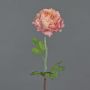 Ranuncolo artificiale ELORIO, rosa-fuchsia, 50cm
